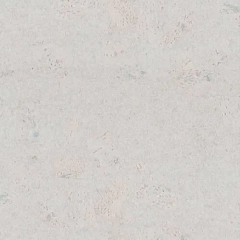 319V WN